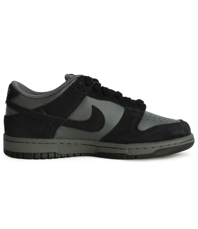 nike Nike Youth Dunk Low SDE IV4909 025