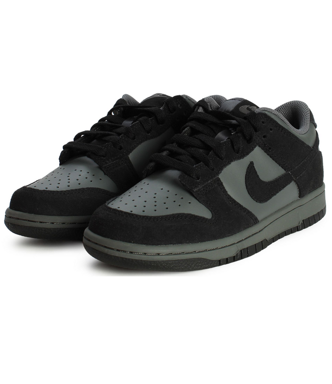 nike Nike Youth Dunk Low SDE IV4909 025
