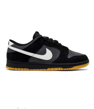 nike Nike Mens Dunk Low Retro SE HQ1931 001