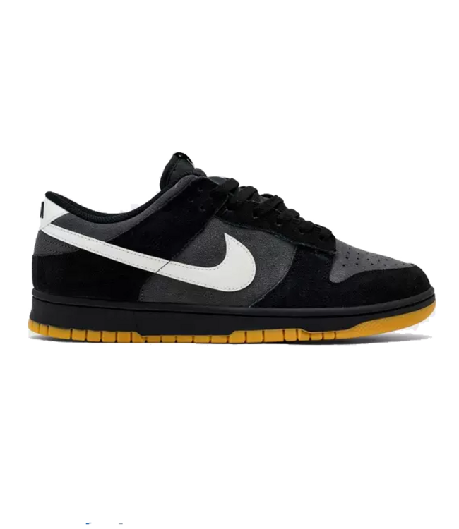 nike Nike Mens Dunk Low Retro SE HQ1931 001