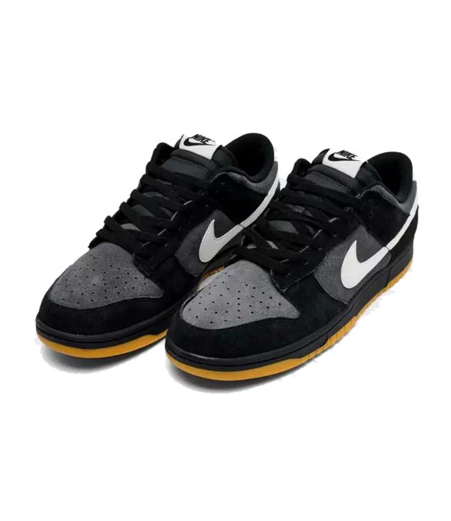 nike Nike Mens Dunk Low Retro SE HQ1931 001