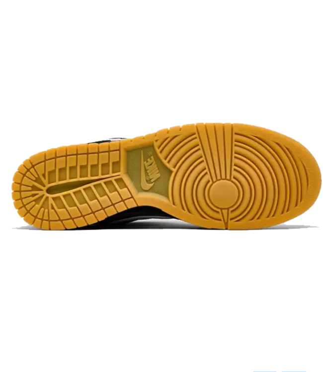 nike Nike Mens Dunk Low Retro SE HQ1931 001