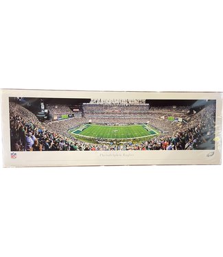 NFL Philadelphia Eagles  #6 stadium Bagged Panorama 40" x 13.5"