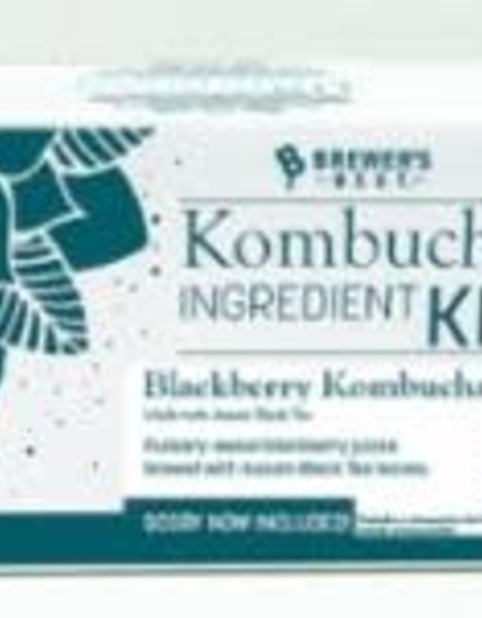 Blackberry w/ Black Tea Kombucha Kit WITH Scoby