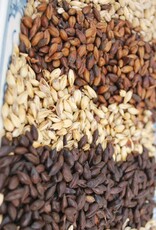 Briess Roasted Barley (per oz)(*69)