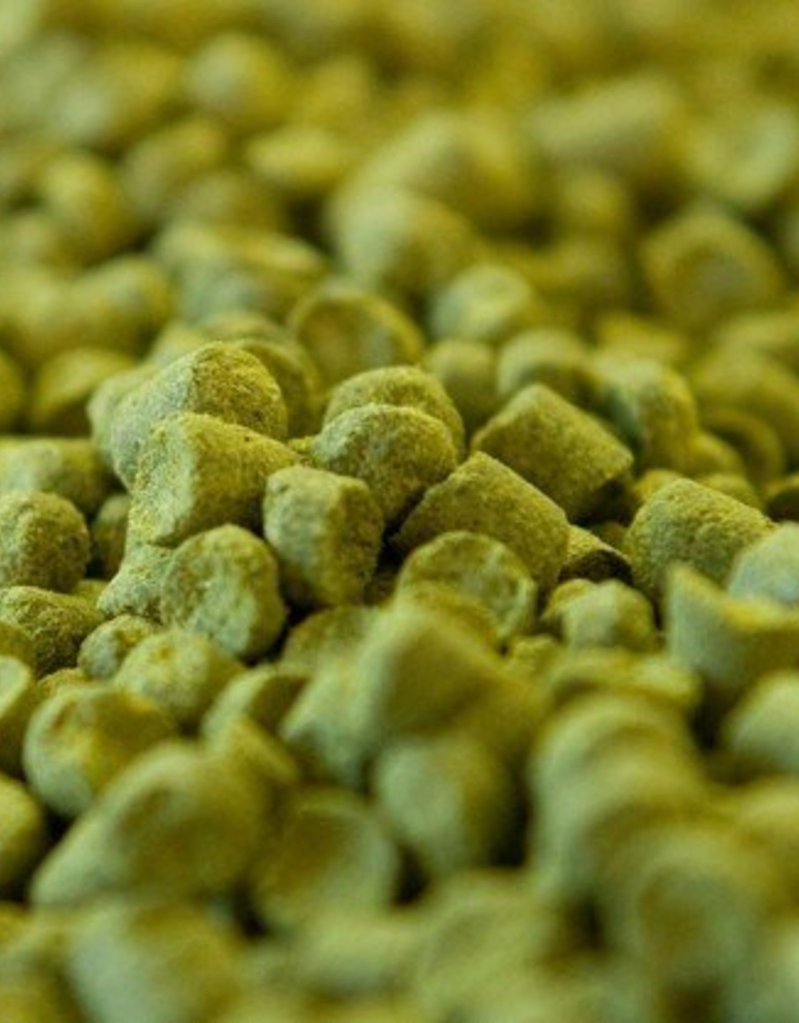 Centennial Pellet Hops (1lb)