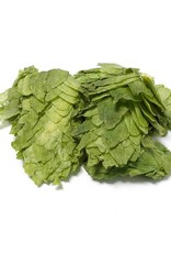 Fuggle US Leaf Hops  AAU: 6.3% (1oz)