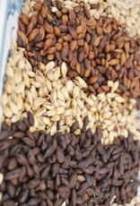 Briess Organic Roasted Barley  (per oz)(*70)