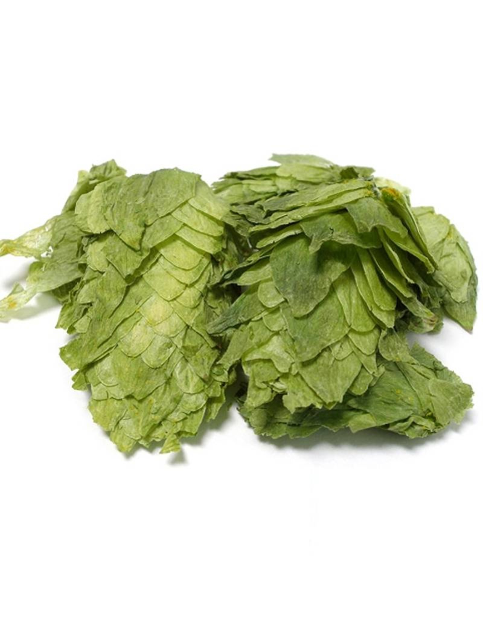 Simcoe leaf hops a/a: 13.7% (1oz.)