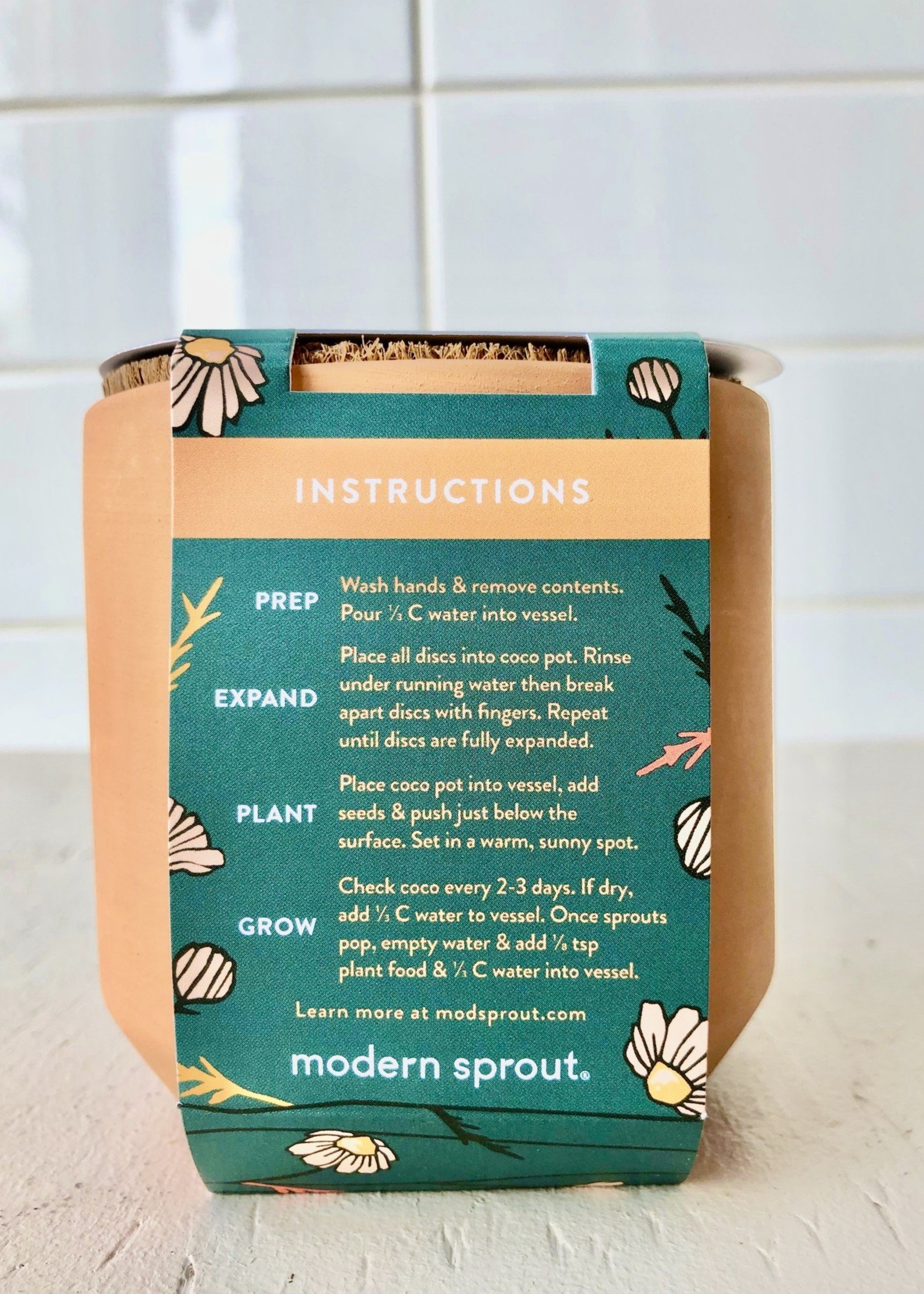 Modern Sprout Mini Terracotta Garden Kits