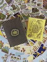 Corvidopolis Jeu de cartes tarot "The Mushroom" 2ème édition par Corvidopolis
