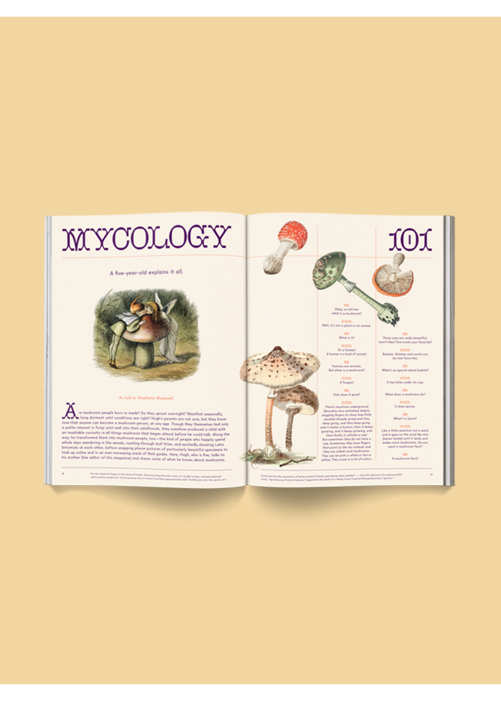Broccoli "Mushroom People" magazine by Broccoli