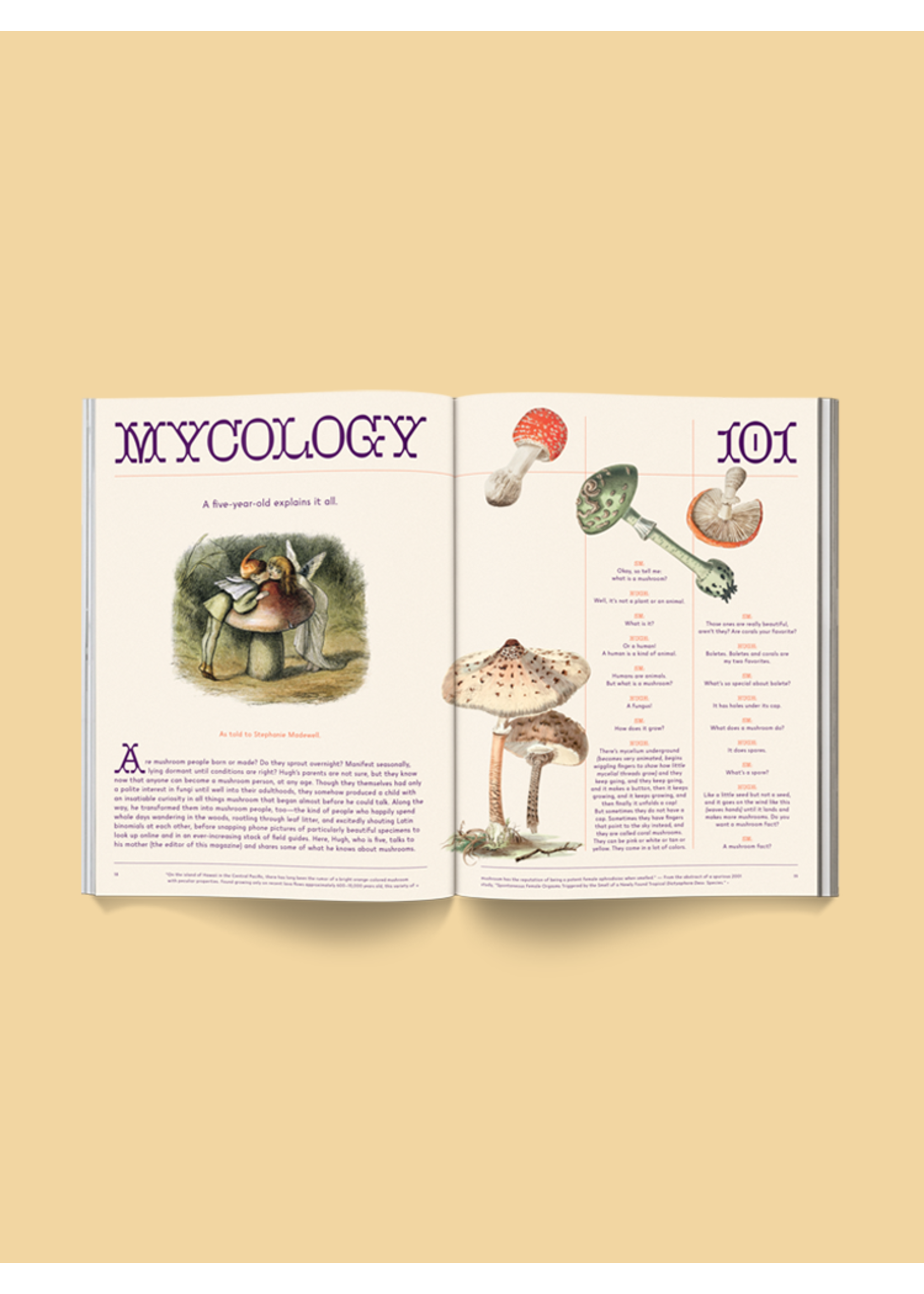 Broccoli Mushroom People Magazine by Broccoli