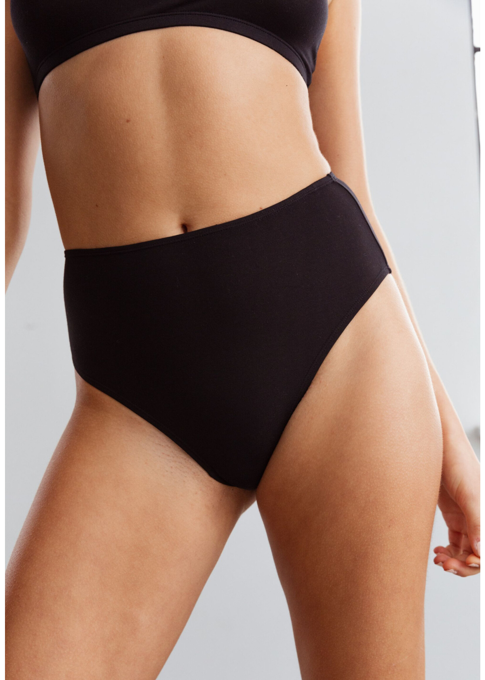 Blush Lingerie "Unplug modal" high waist brief bikini by Blush Lingerie
