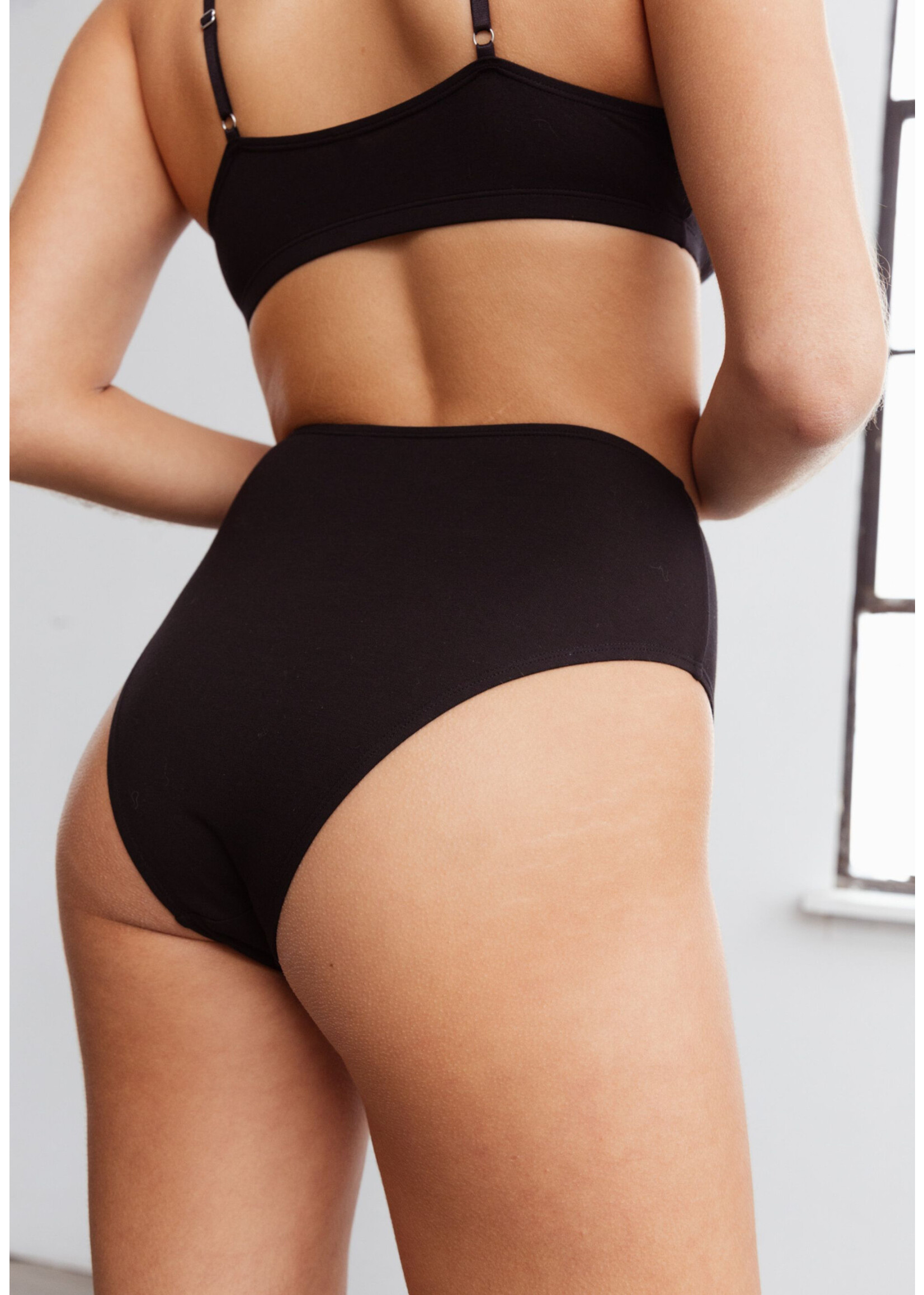 Blush Lingerie "Unplug modal" high waist brief bikini by Blush Lingerie