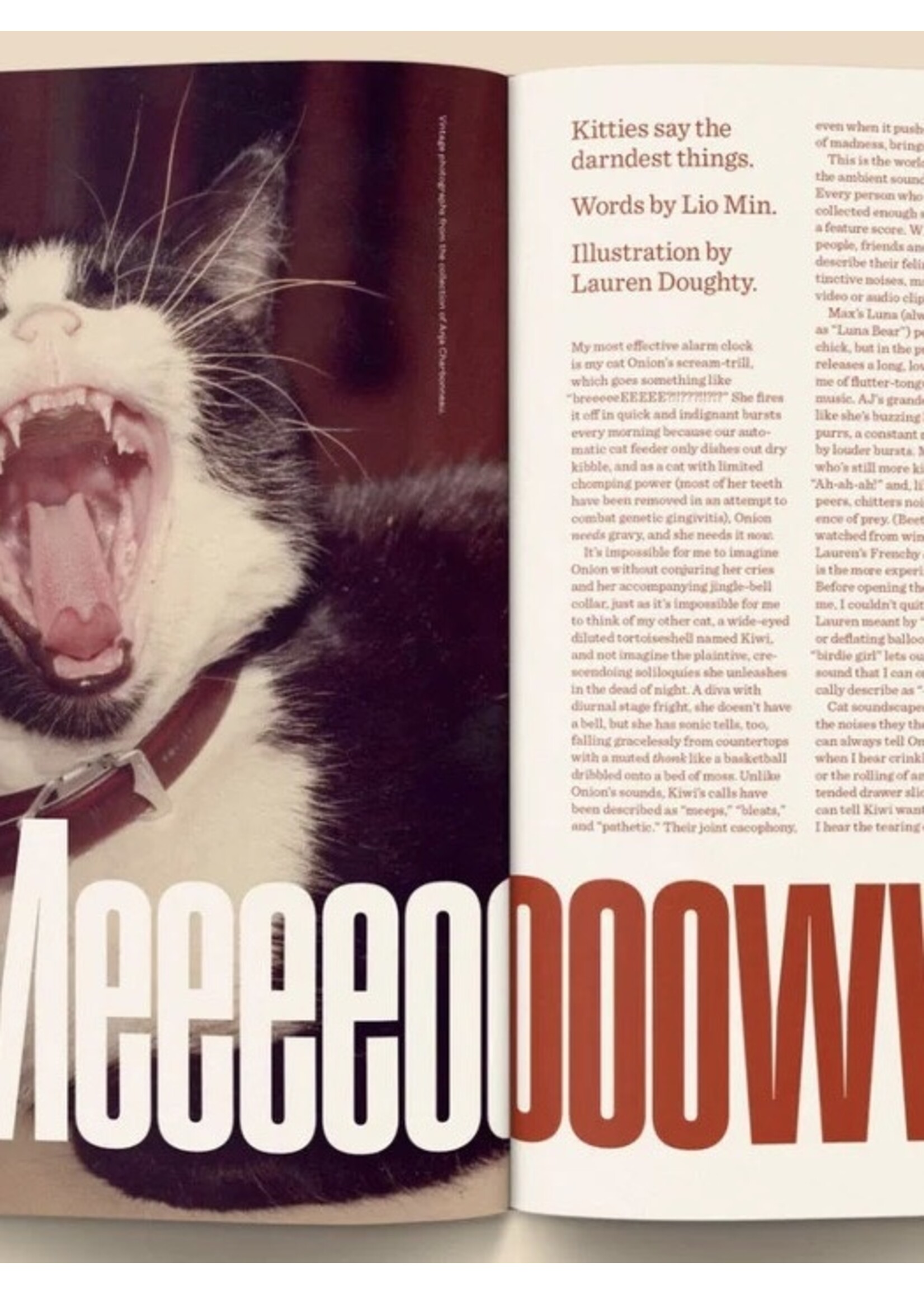 Broccoli "Catnip Magazine" par Broccoli