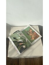 Image Preview