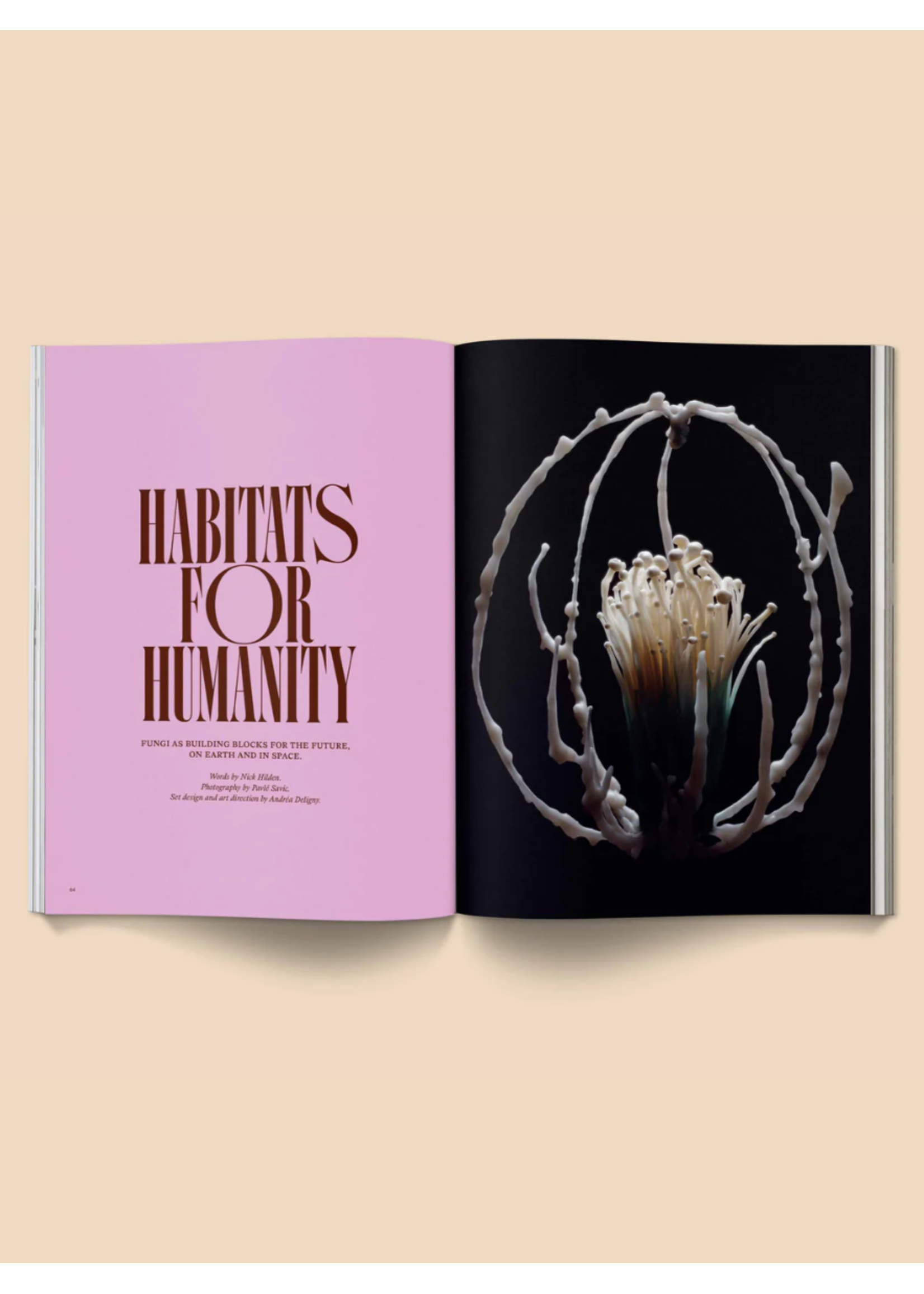 Broccoli Magazine "Mushroom People: Volume II" par Broccoli