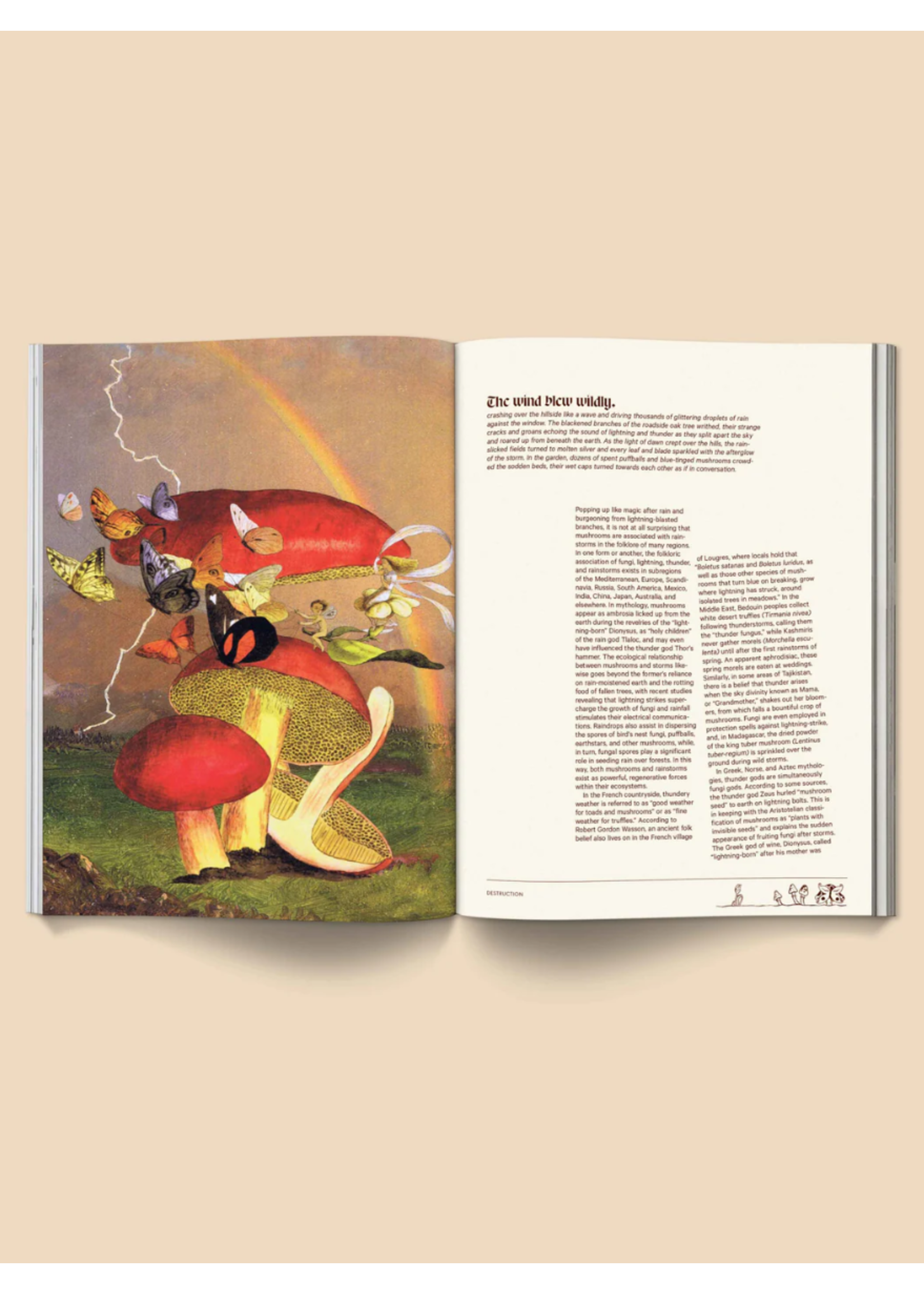 Broccoli Magazine "Mushroom People: Volume II" par Broccoli