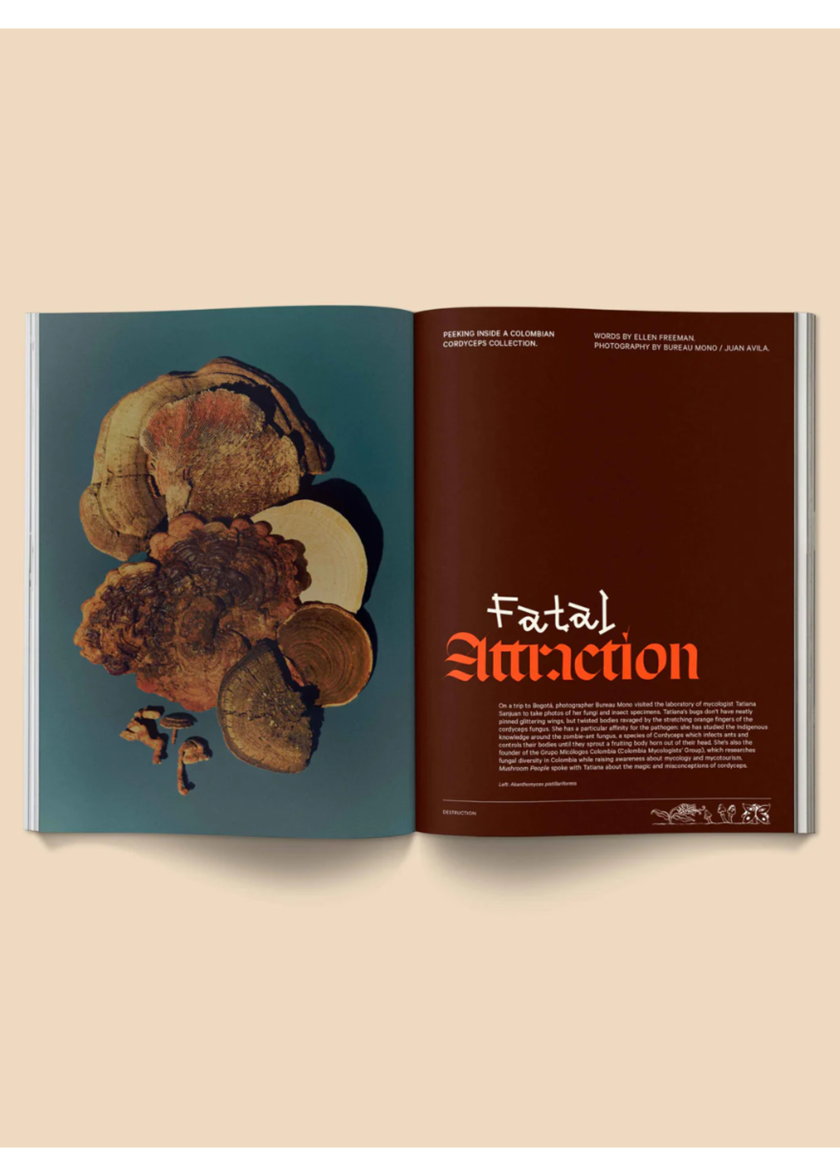 Broccoli Magazine "Mushroom People: Volume II" par Broccoli