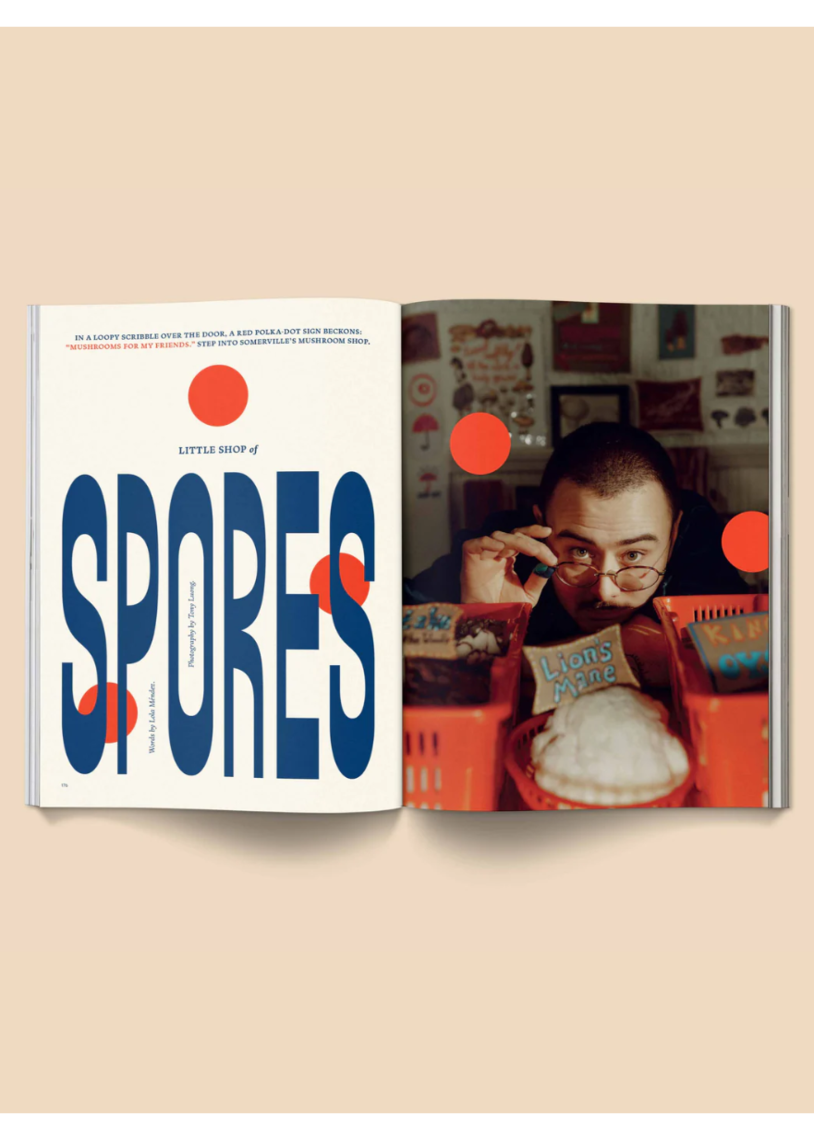 Broccoli Magazine "Mushroom People: Volume II" par Broccoli