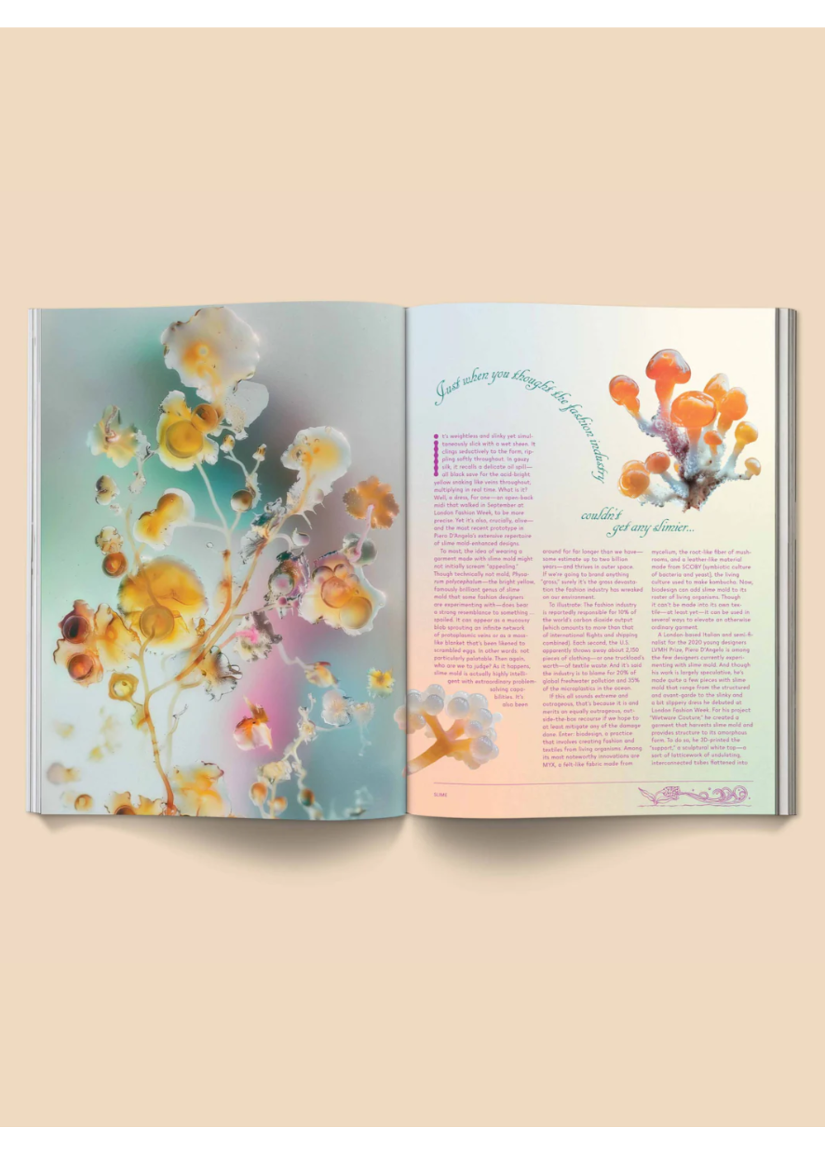 Broccoli Magazine "Mushroom People: Volume II" par Broccoli