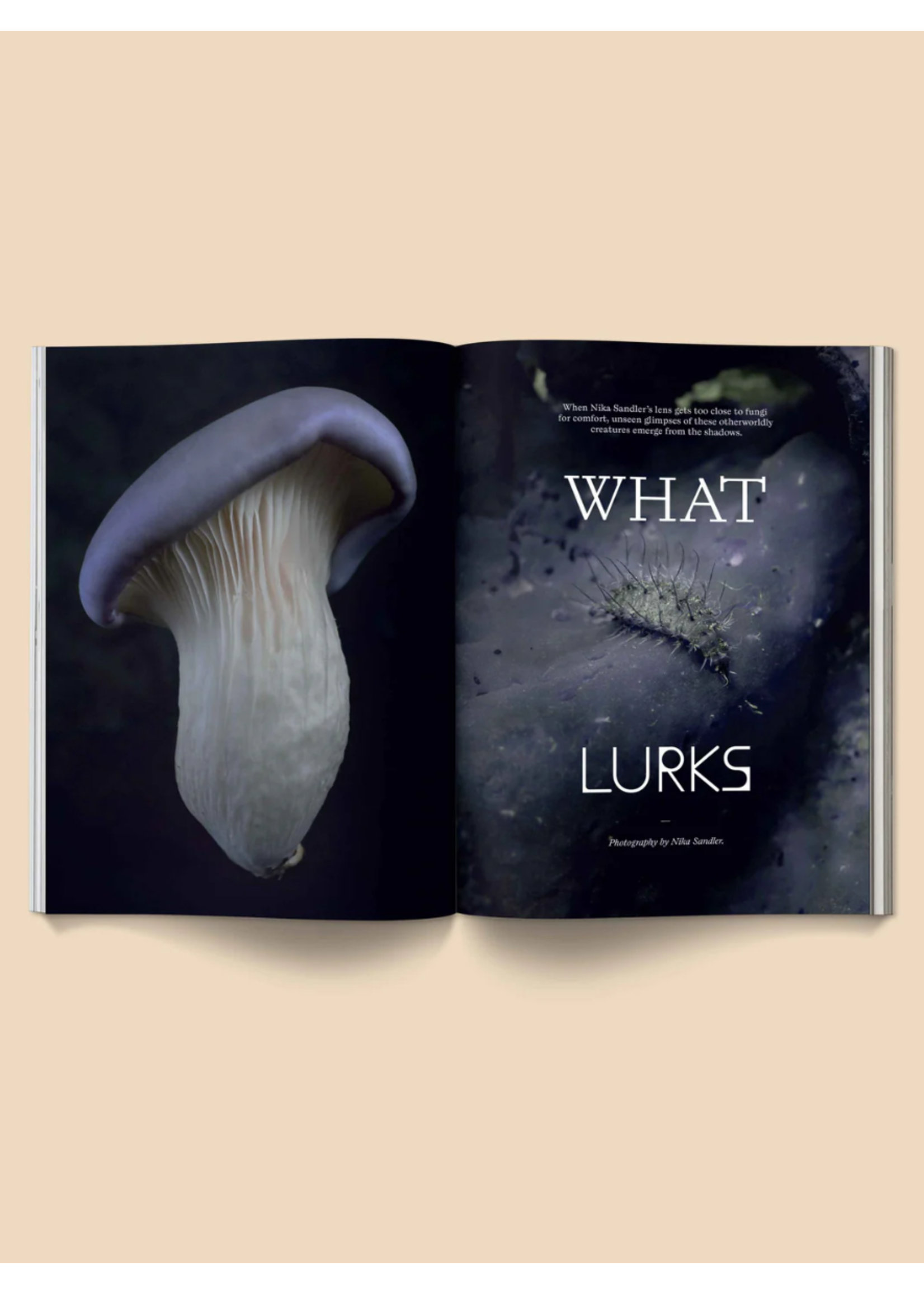 Broccoli Magazine "Mushroom People: Volume II" par Broccoli
