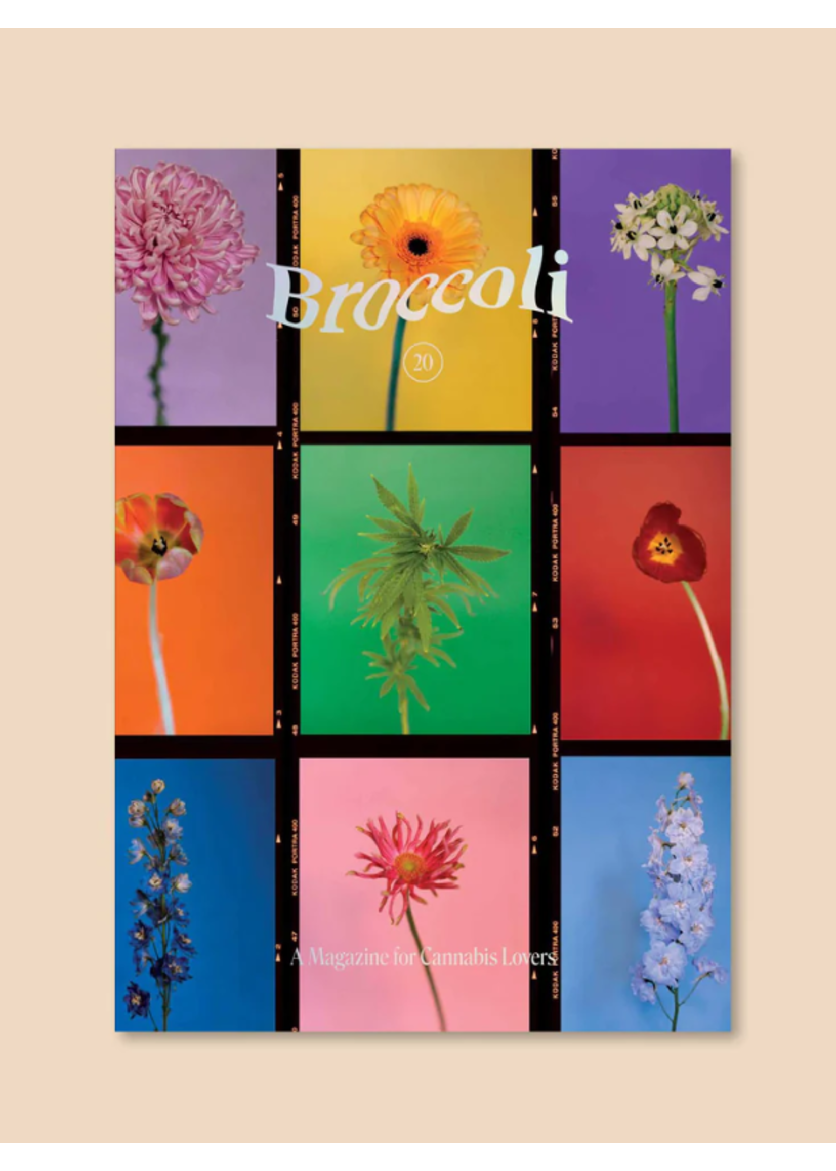 Broccoli Broccoli Magazines