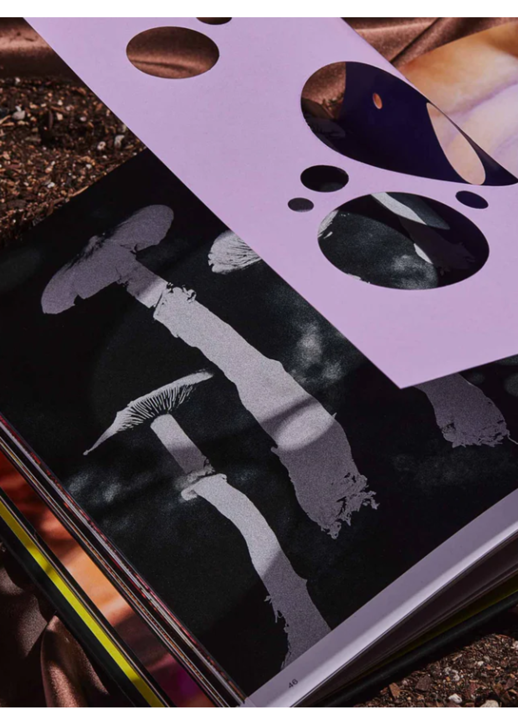 Broccoli Livre "Spores: Magical Mushroom Photography" par Broccoli