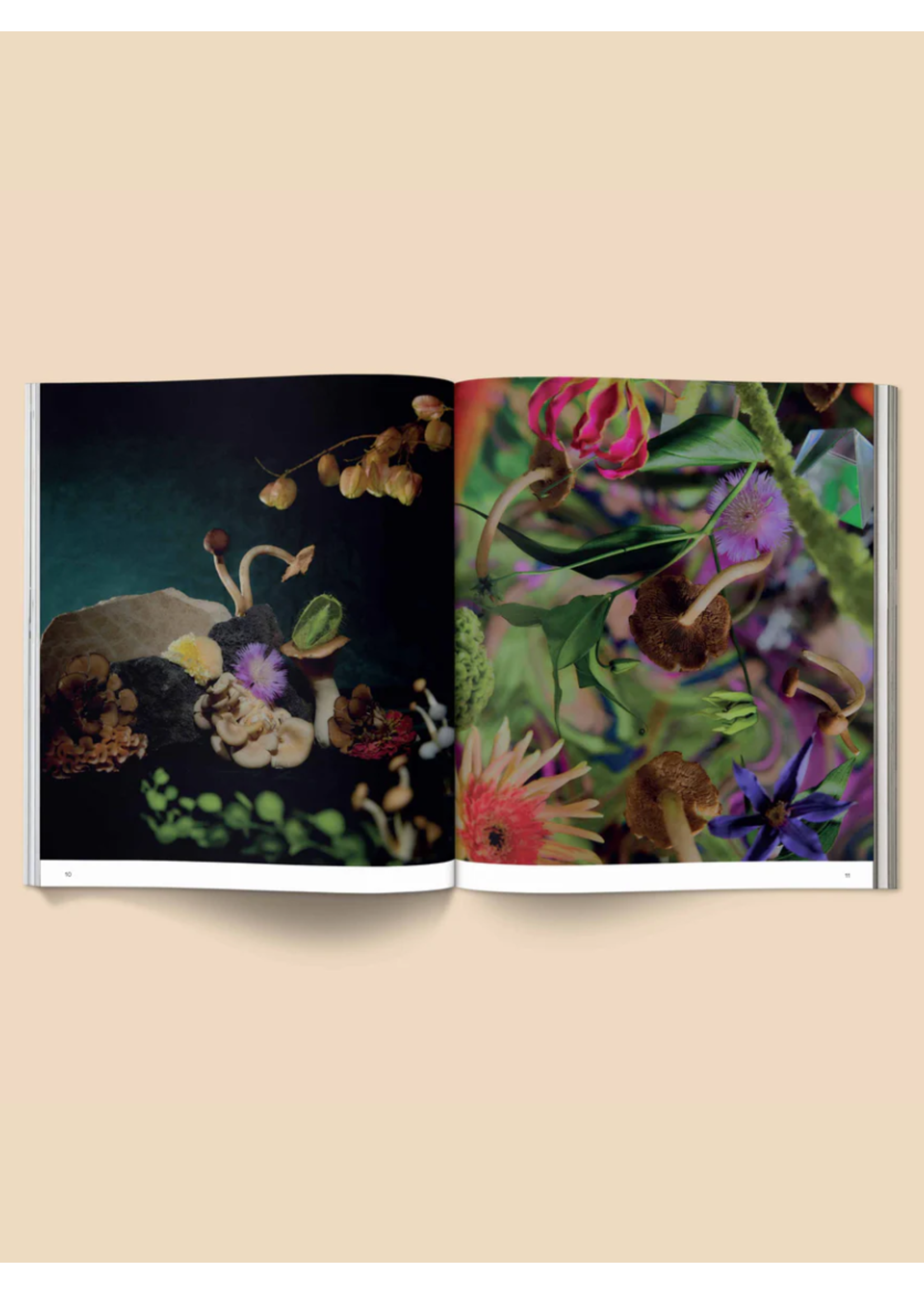 Broccoli Livre "Spores: Magical Mushroom Photography" par Broccoli