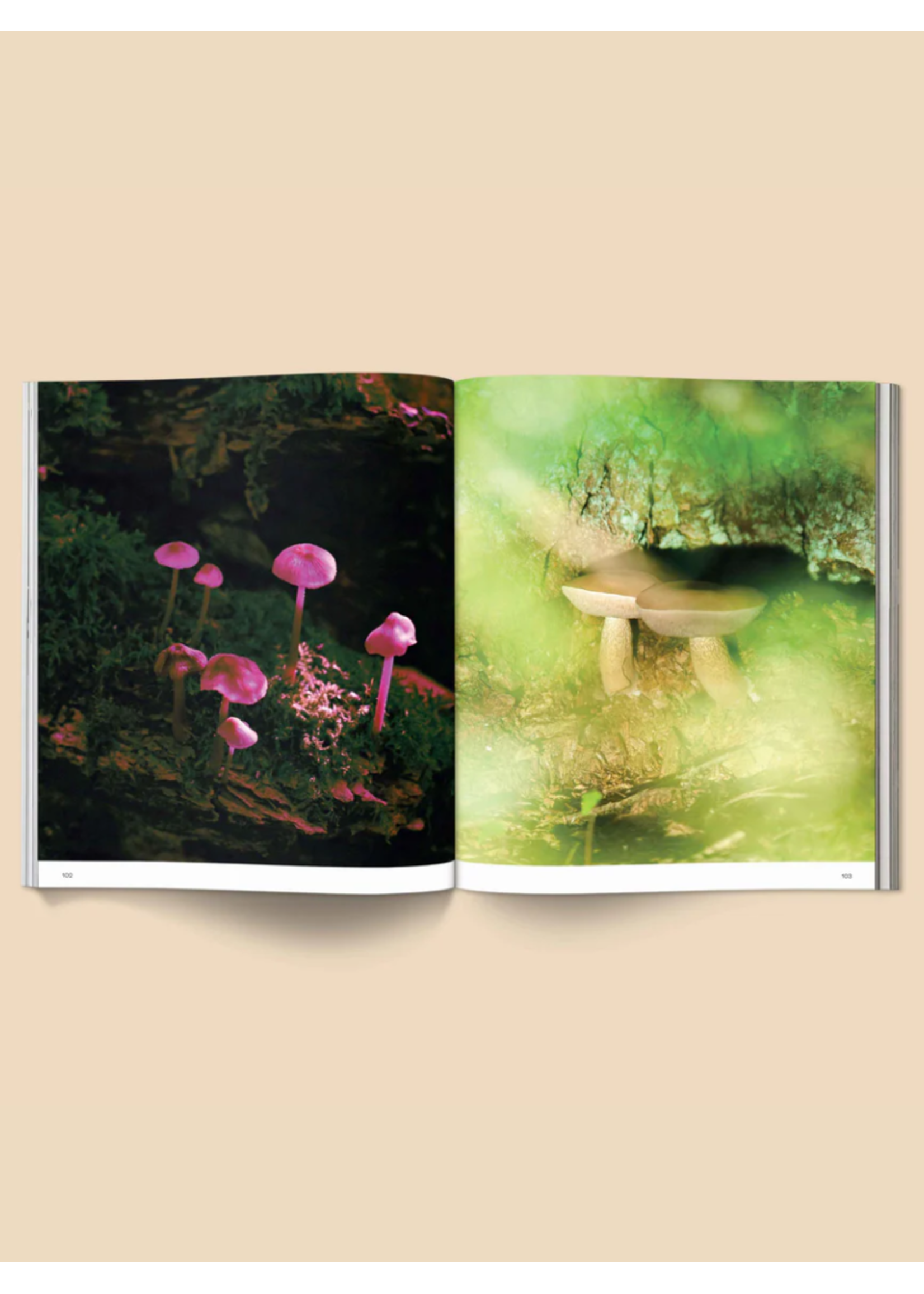Broccoli Livre "Spores: Magical Mushroom Photography" par Broccoli