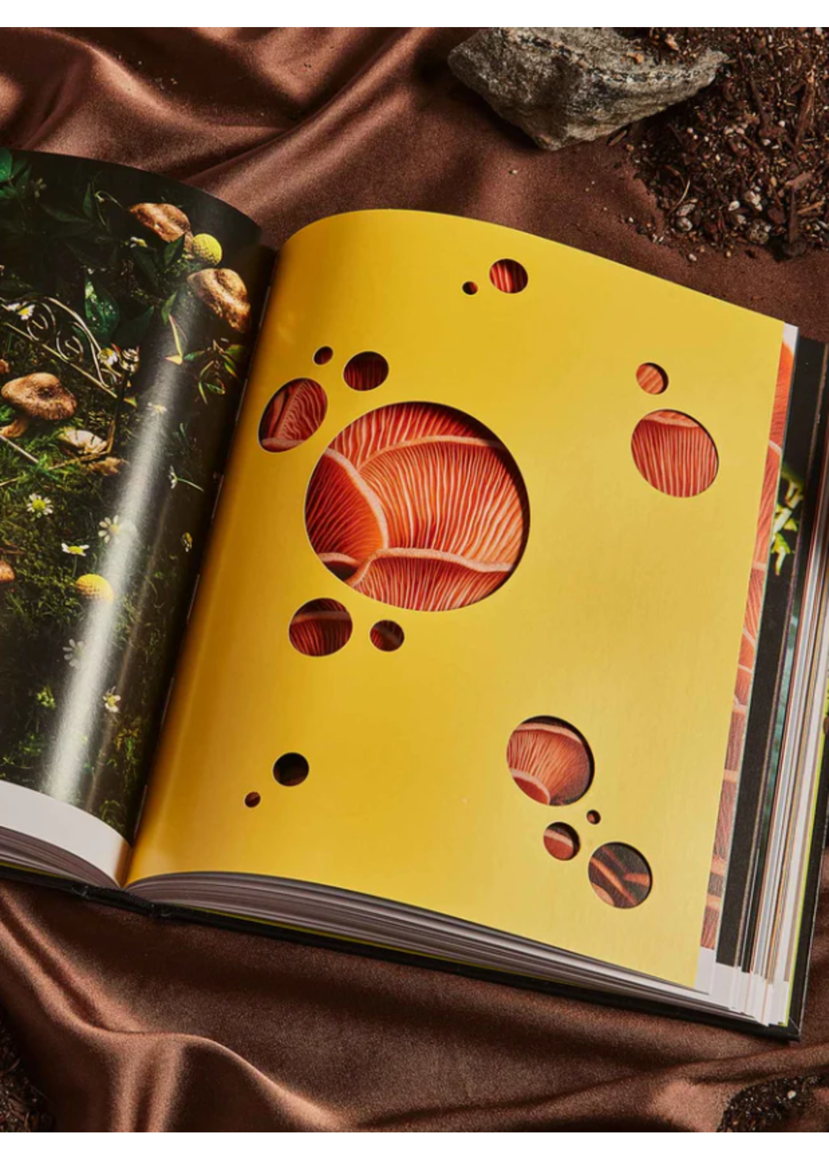 Broccoli "Spores: Magical Mushroom Photography" book by Broccoli