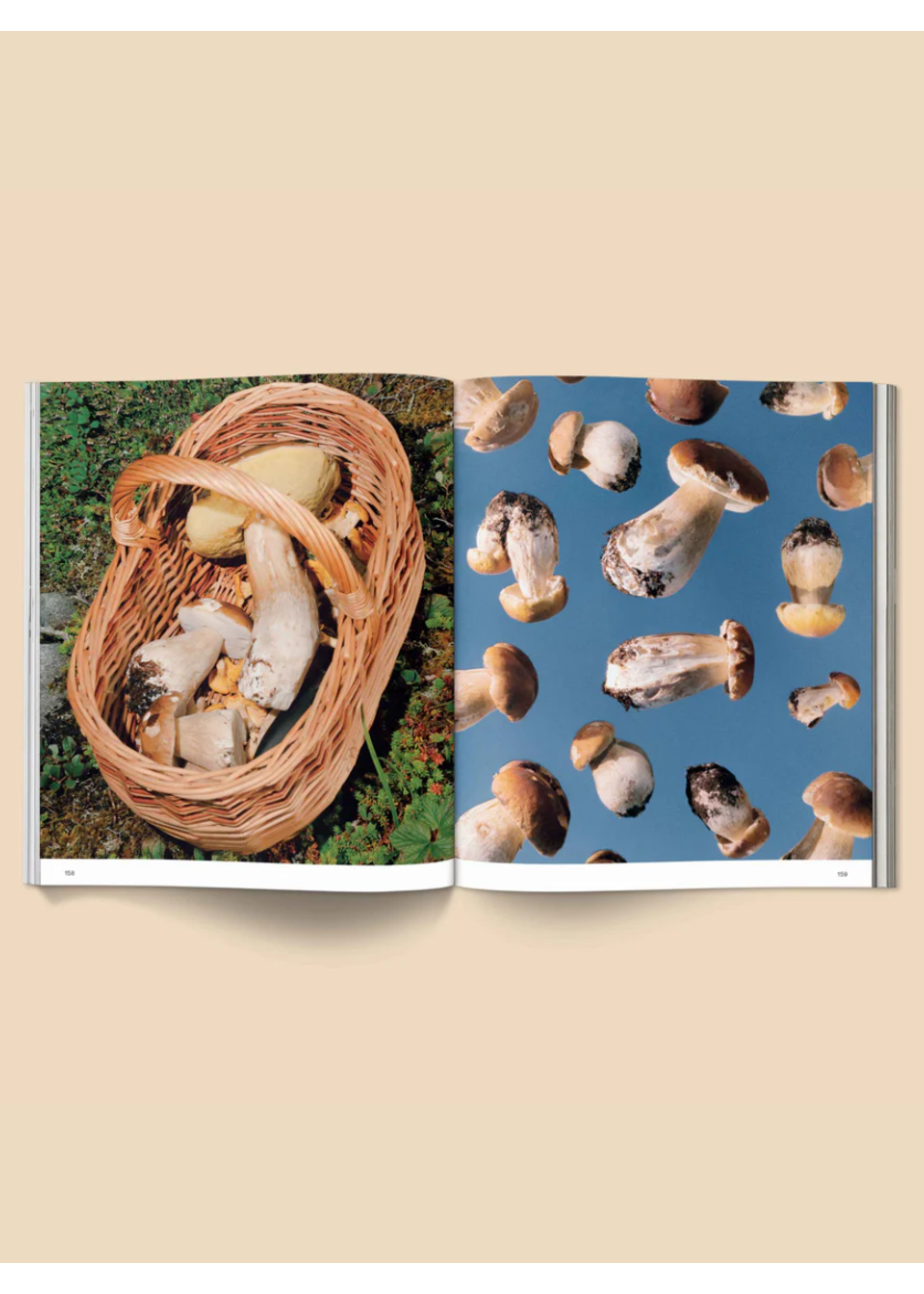 Broccoli Livre "Spores: Magical Mushroom Photography" par Broccoli