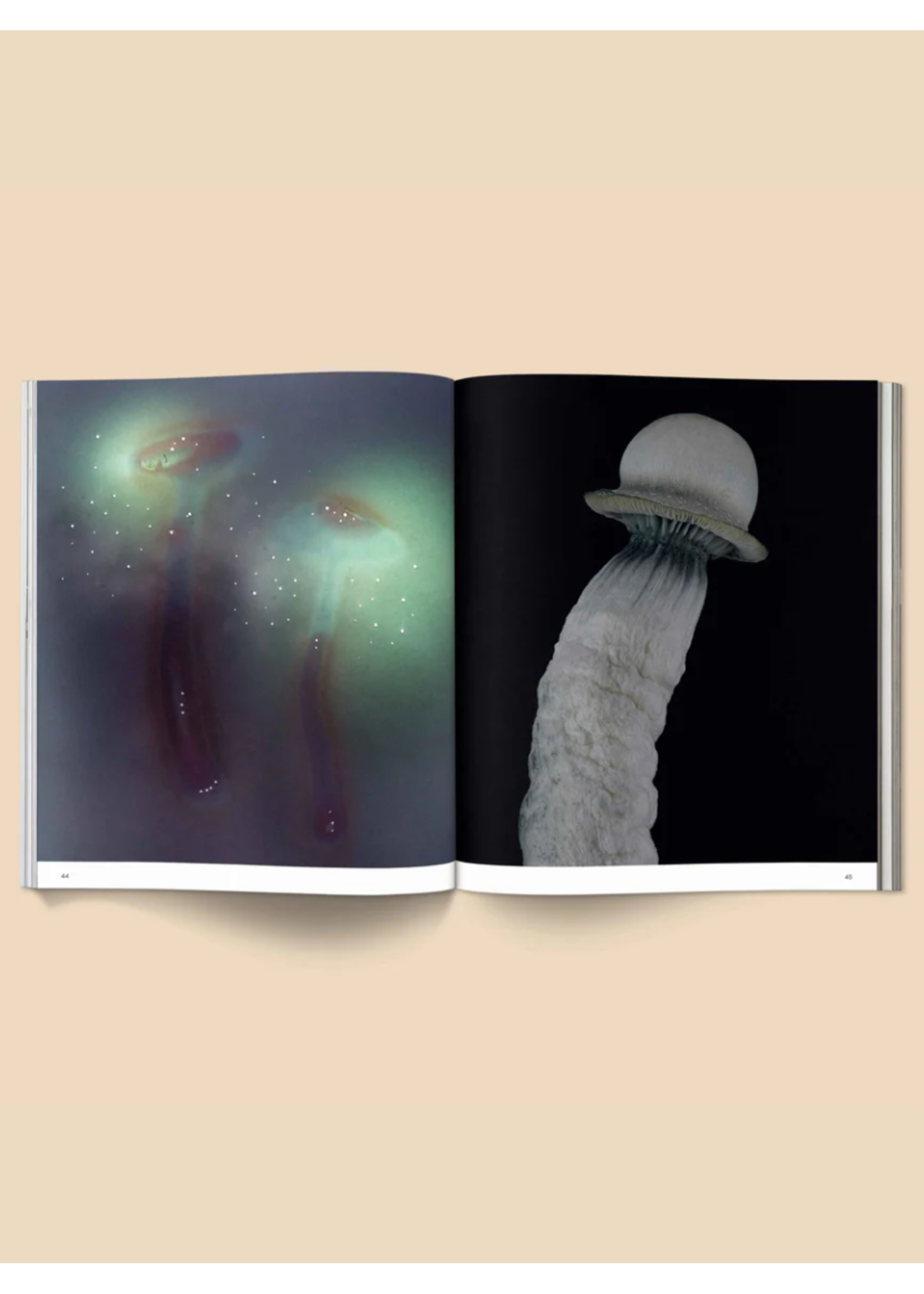 Broccoli "Spores: Magical Mushroom Photography" book by Broccoli