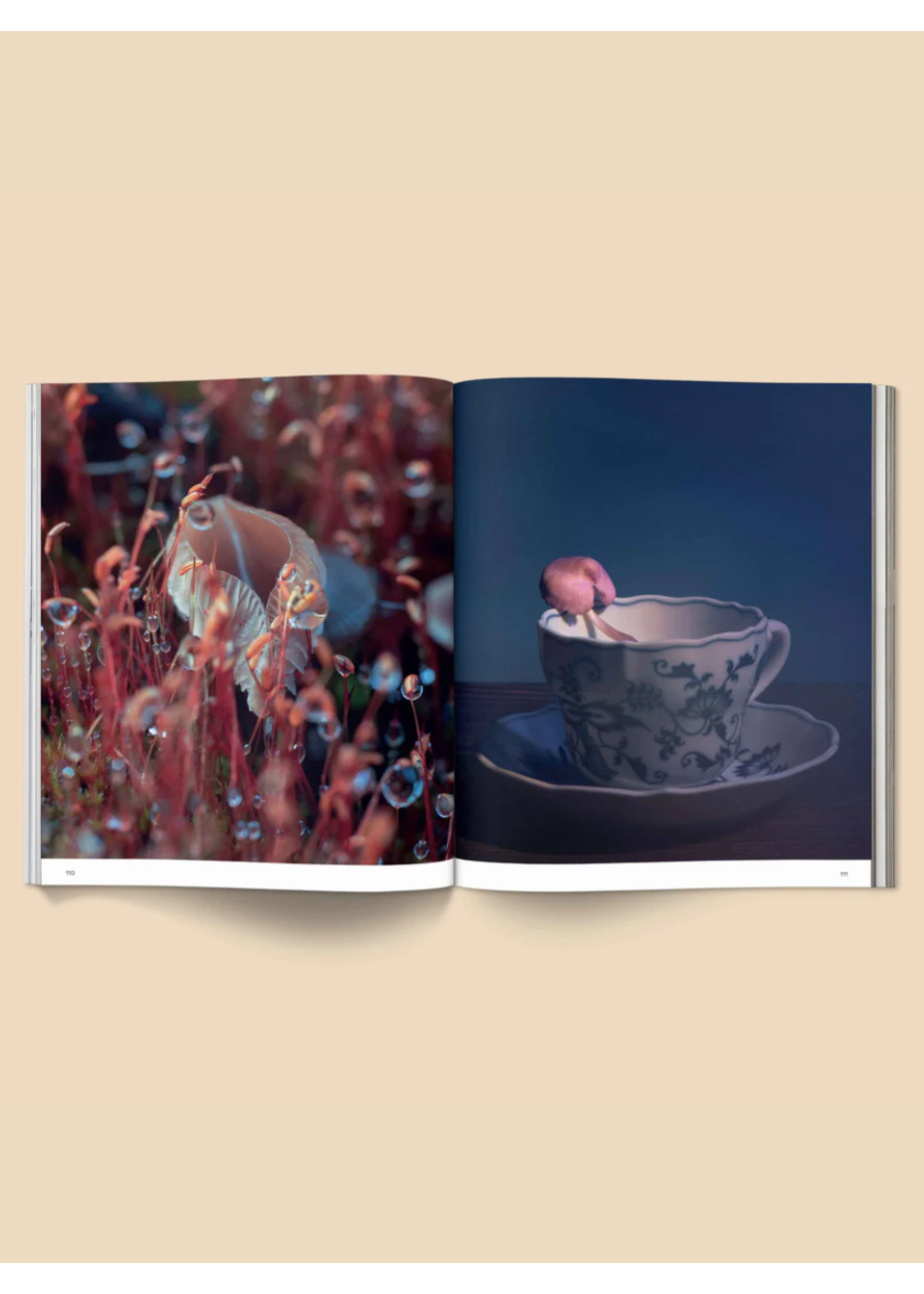 Broccoli Livre "Spores: Magical Mushroom Photography" par Broccoli
