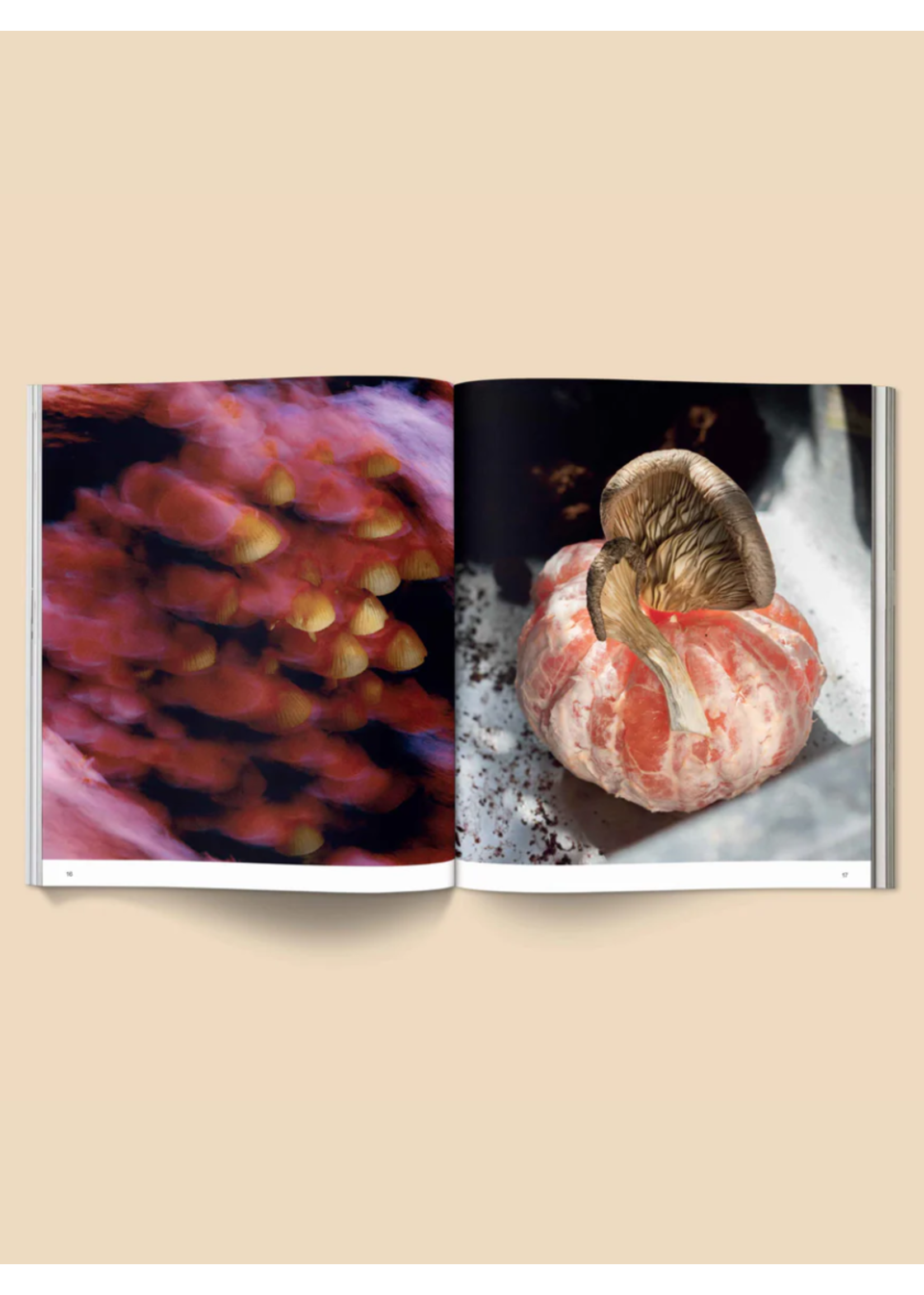 Broccoli Livre "Spores: Magical Mushroom Photography" par Broccoli