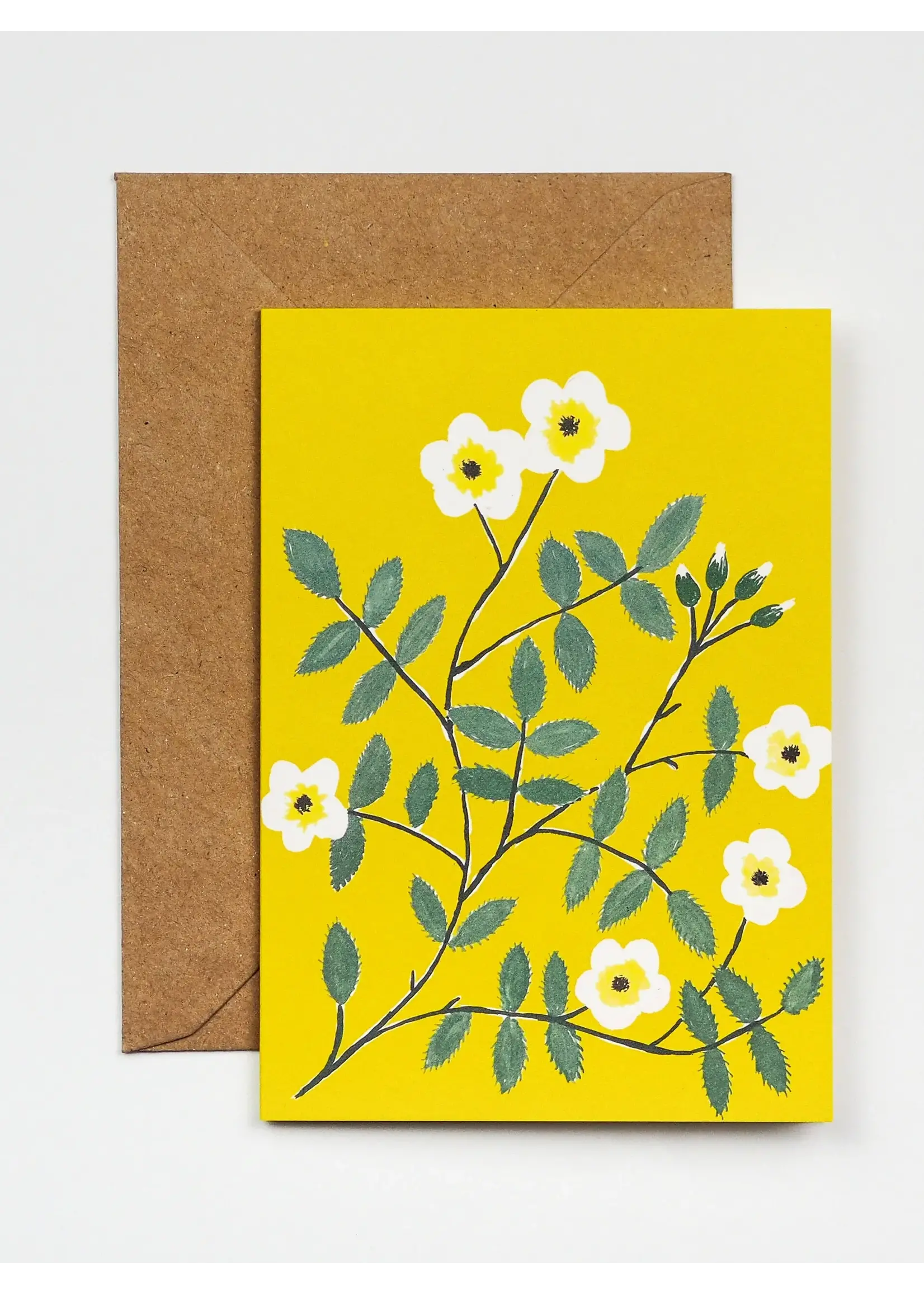 Hadley Paper Goods Greeting cards by Hadley Paper Goods