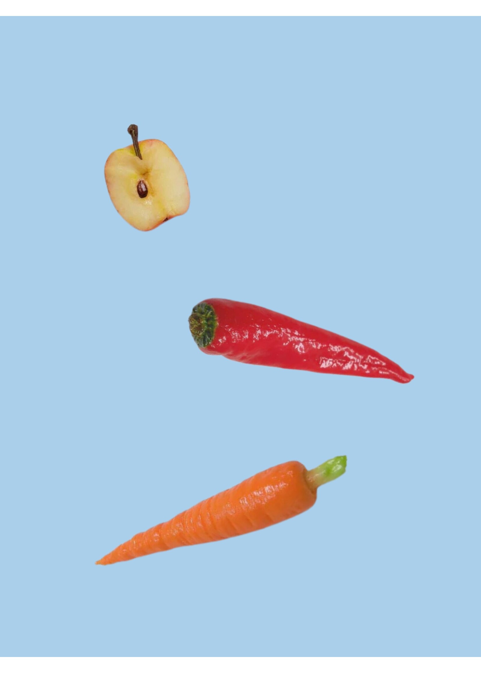 Fake Food Japan Fake Food Magnets