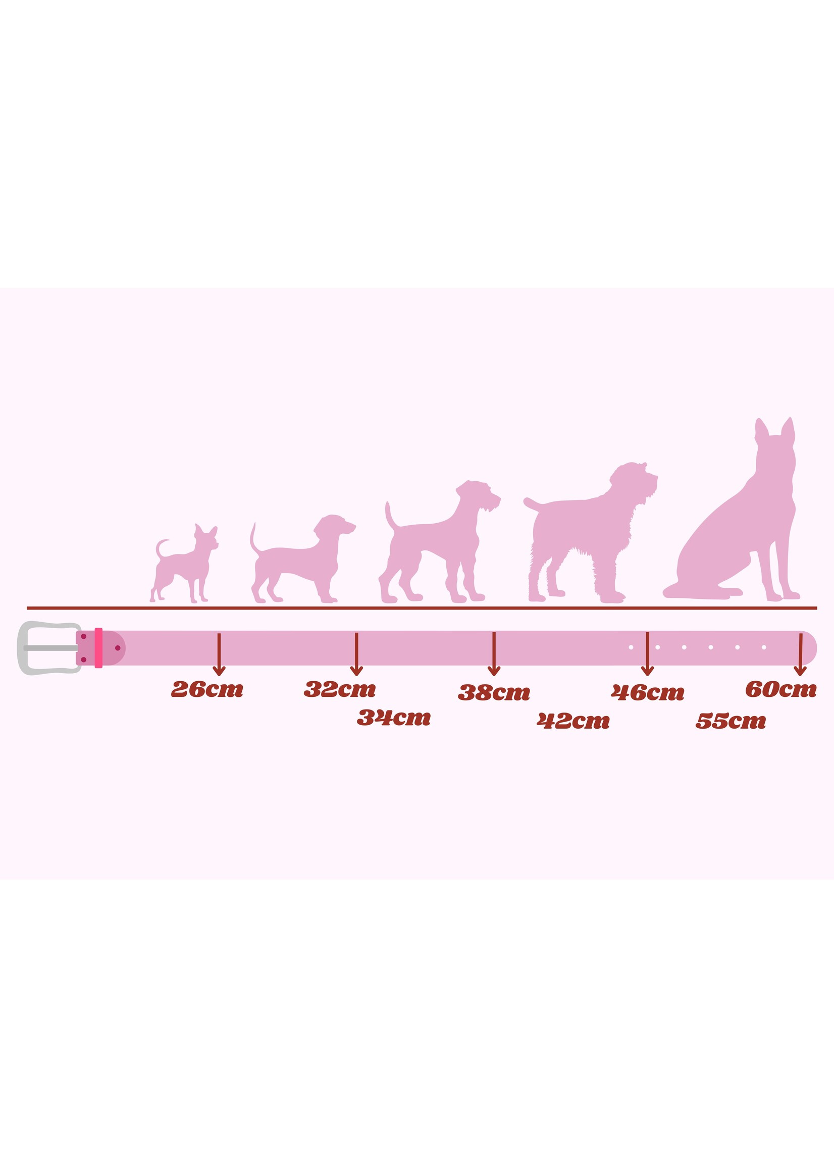 Ballatore Roma Colliers pour chien en cuir avec étoiles par Ballatore