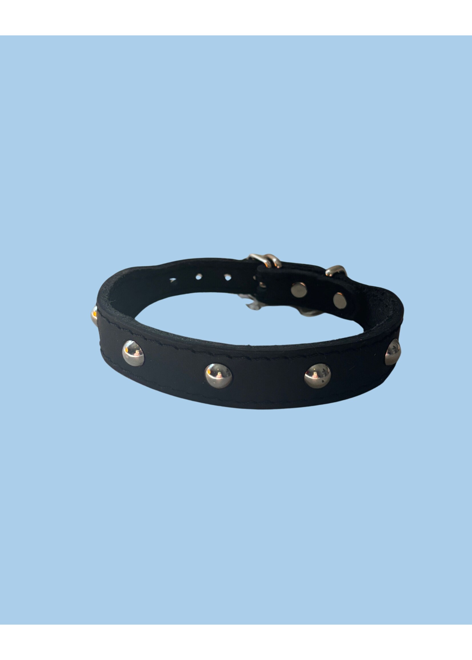 Ballatore Roma Leather dog collars with studs by Ballatore