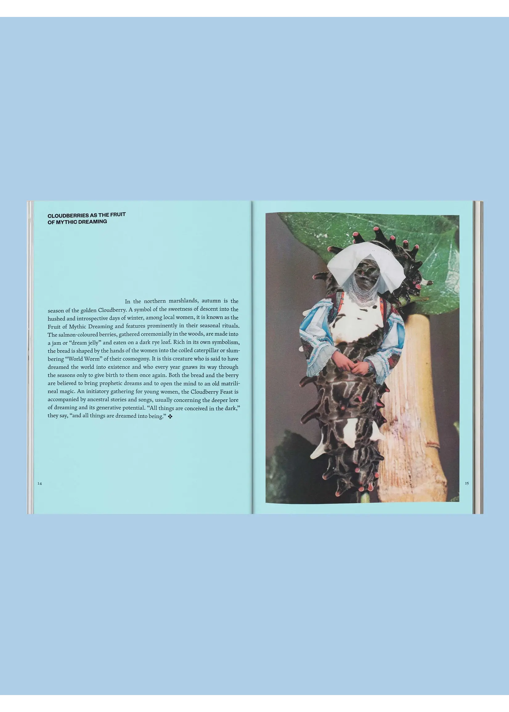 Broccoli Livre "Fruit Of Mythic Dreaming: Imagined Folklore" par Broccoli