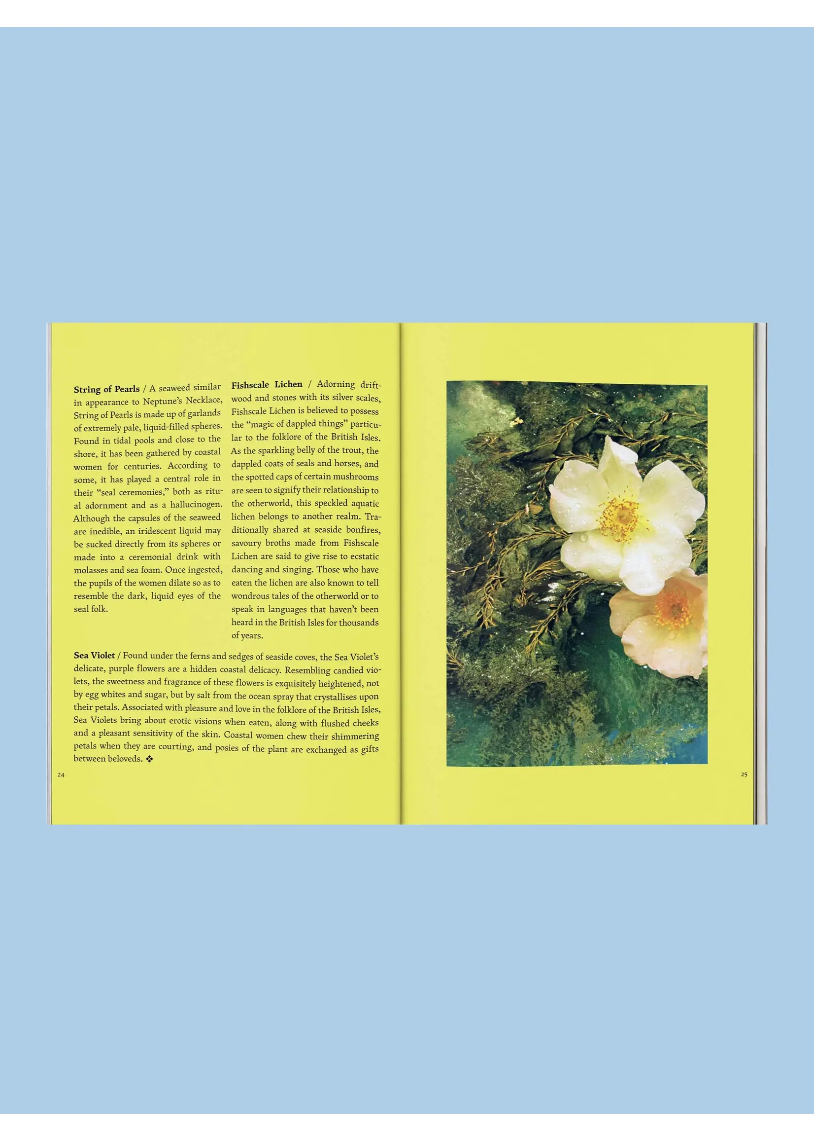Broccoli Livre "Fruit Of Mythic Dreaming: Imagined Folklore" par Broccoli