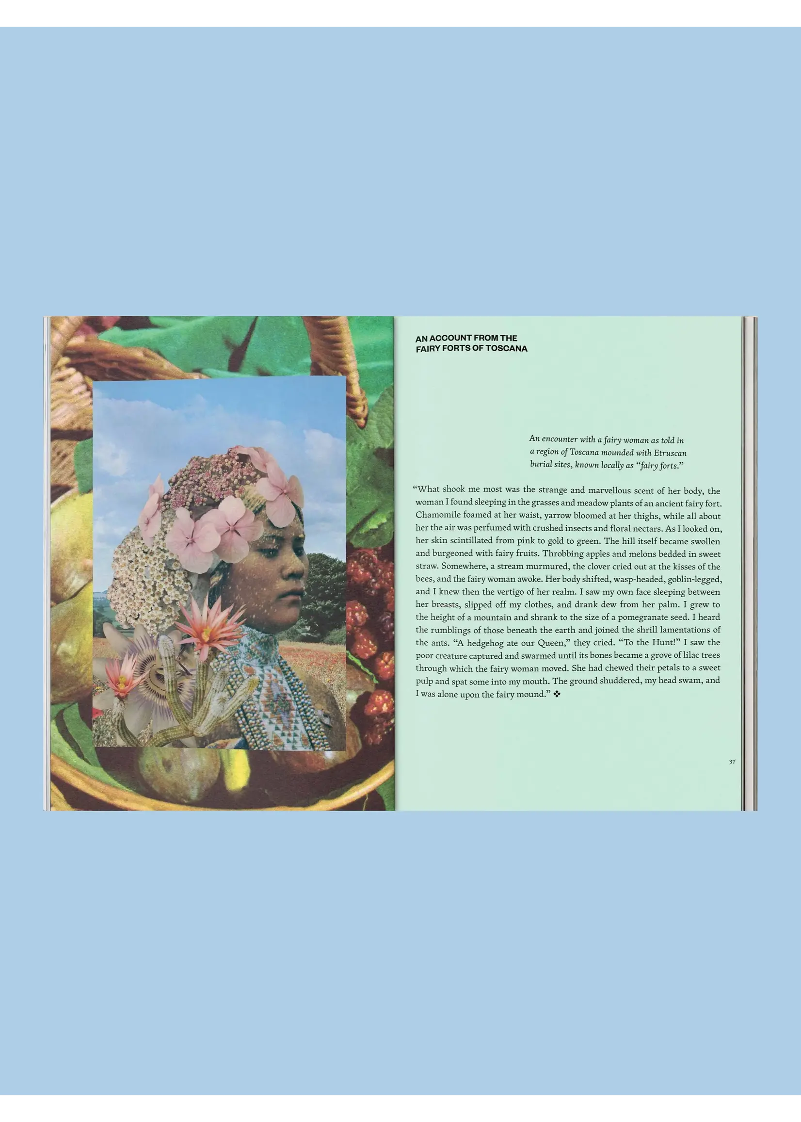Broccoli Livre "Fruit Of Mythic Dreaming: Imagined Folklore" par Broccoli