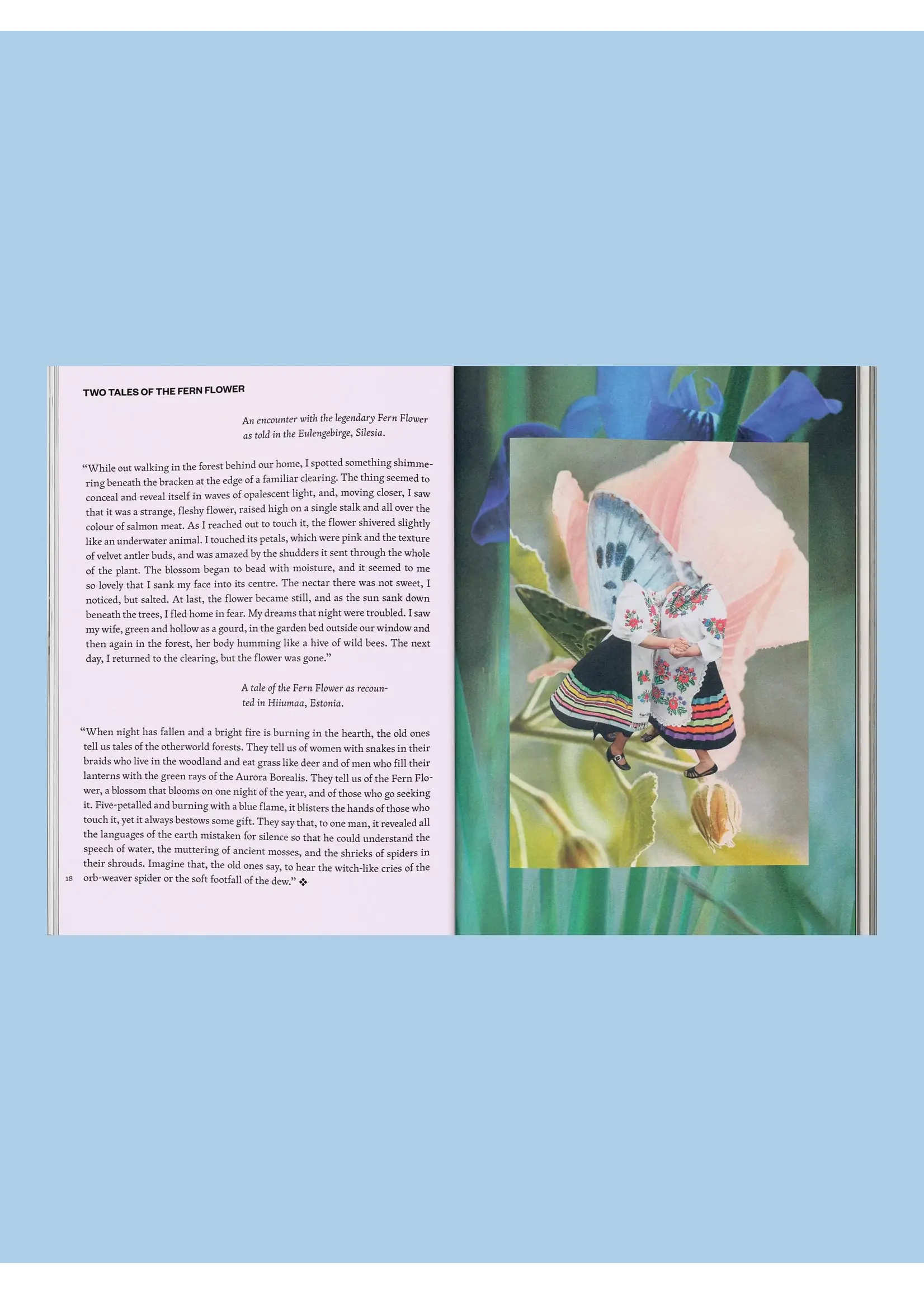 Broccoli Livre "Fruit Of Mythic Dreaming: Imagined Folklore" par Broccoli