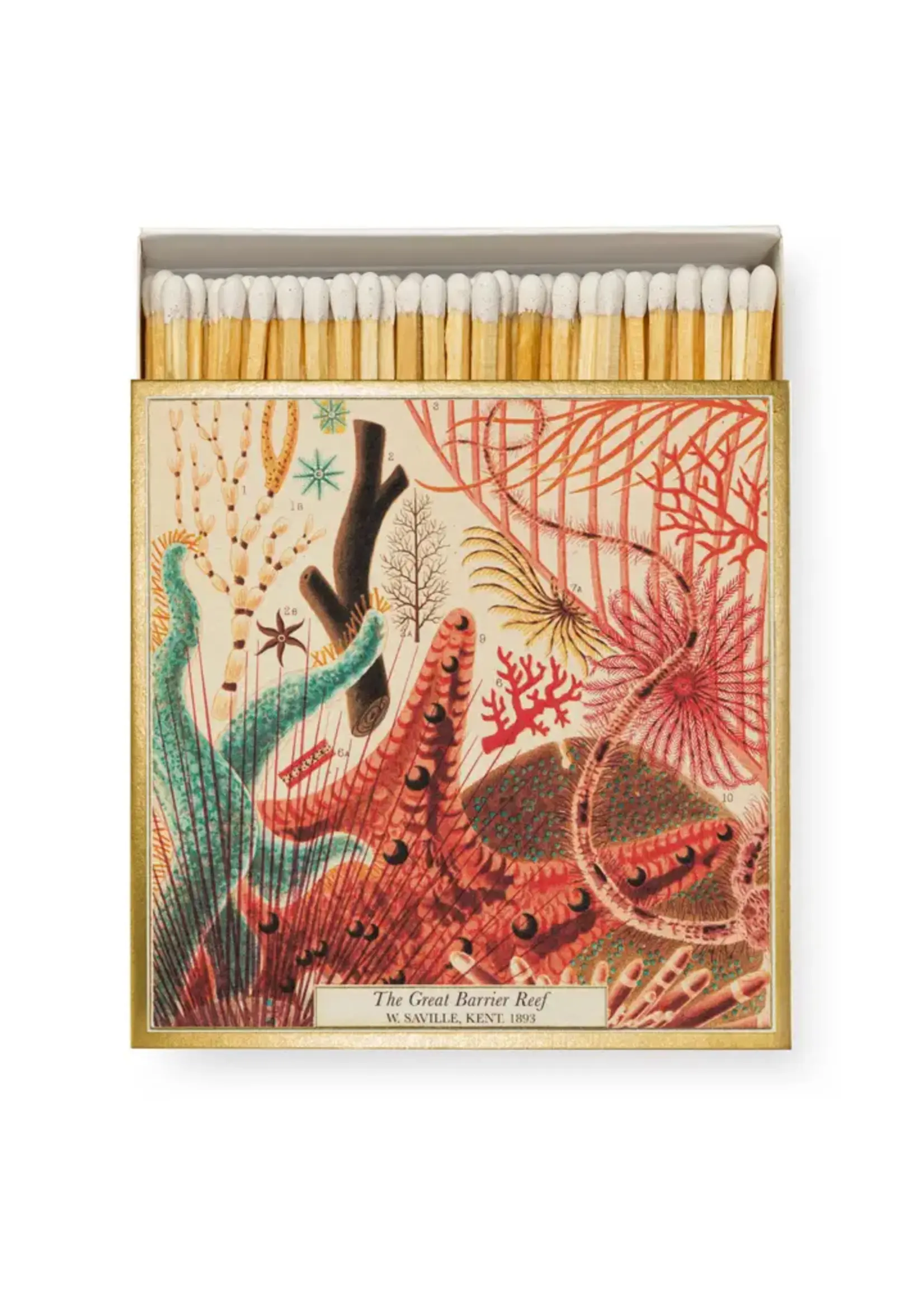 Archivist Match boxes by Archivist