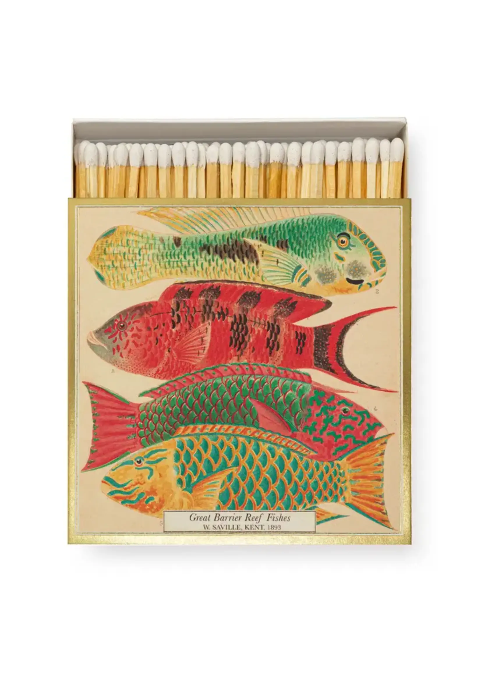 Archivist Match boxes by Archivist