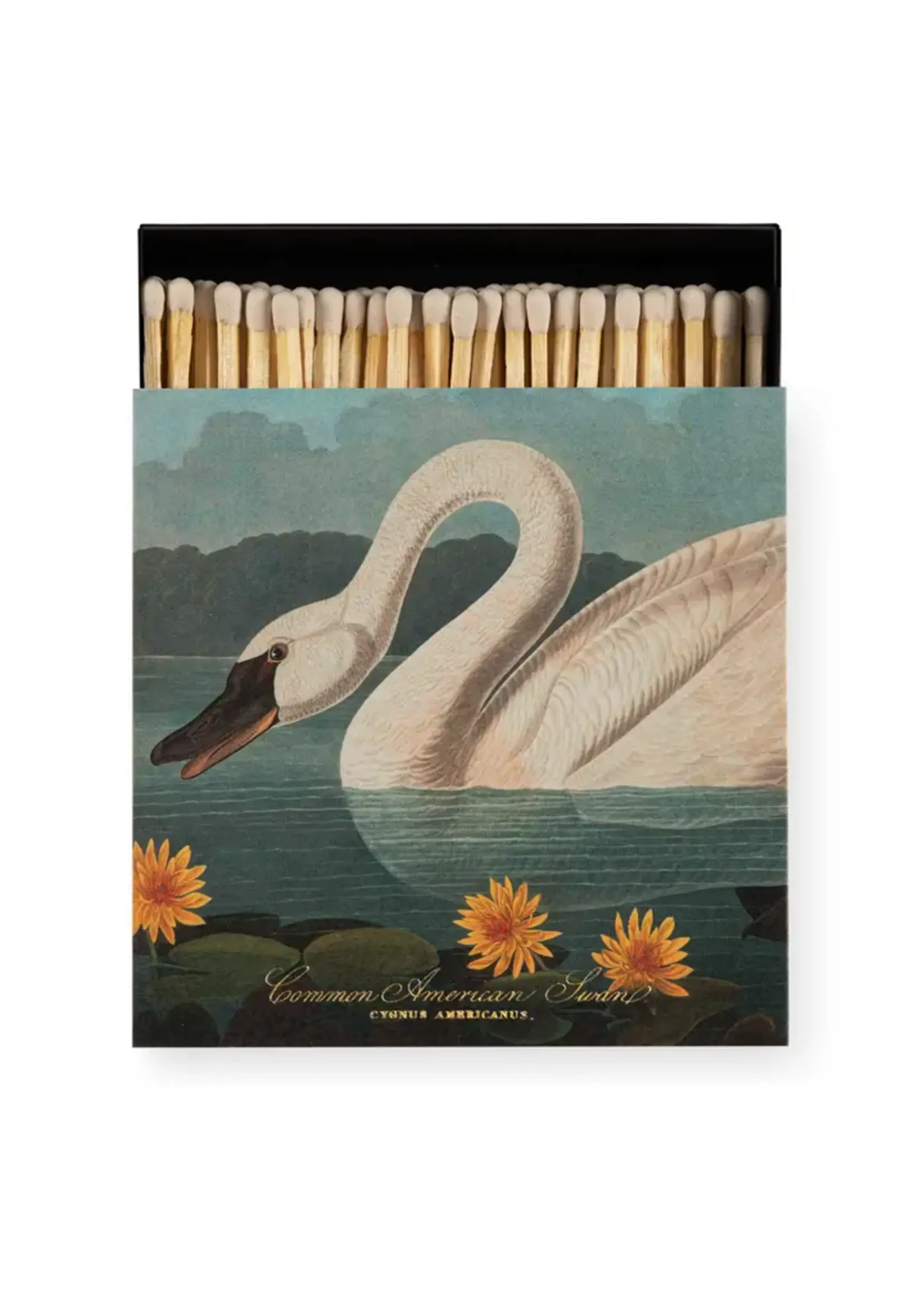Archivist Match boxes by Archivist