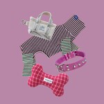 Accessoires pour Animaux