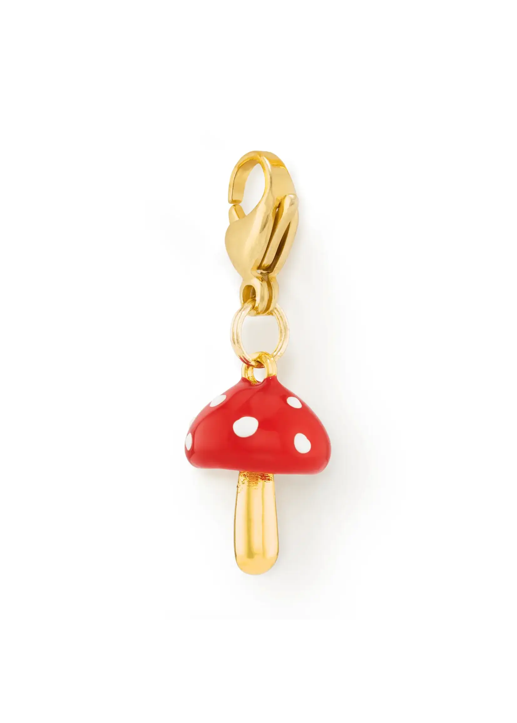 The Foggy Dog Accessoire pour collier par The Foggy Dog