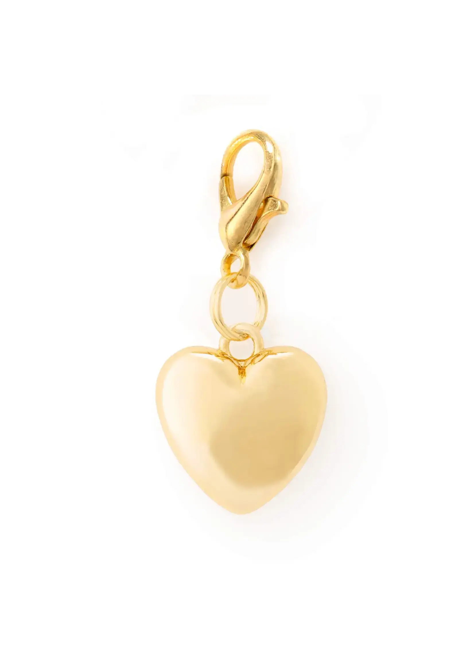 The Foggy Dog Accessoire pour collier par The Foggy Dog